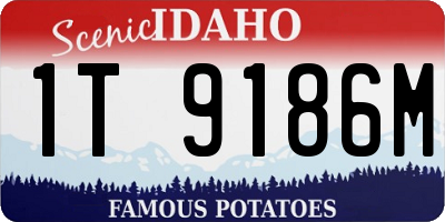 ID license plate 1T9186M
