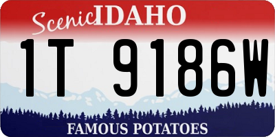 ID license plate 1T9186W