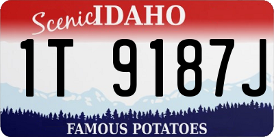 ID license plate 1T9187J