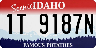 ID license plate 1T9187N