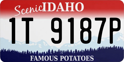 ID license plate 1T9187P