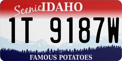 ID license plate 1T9187W