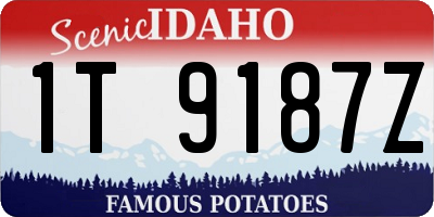 ID license plate 1T9187Z