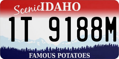 ID license plate 1T9188M