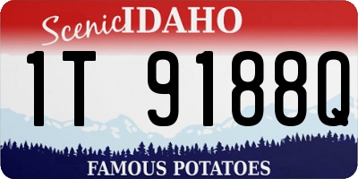 ID license plate 1T9188Q