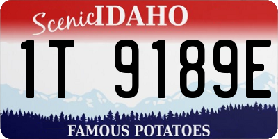 ID license plate 1T9189E