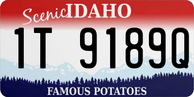 ID license plate 1T9189Q