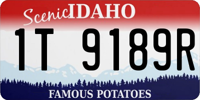 ID license plate 1T9189R