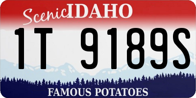 ID license plate 1T9189S