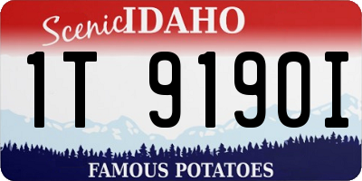 ID license plate 1T9190I