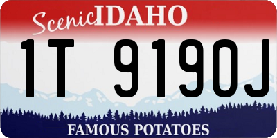 ID license plate 1T9190J