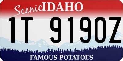 ID license plate 1T9190Z