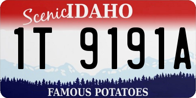 ID license plate 1T9191A