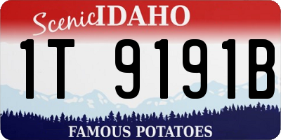 ID license plate 1T9191B