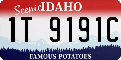 ID license plate 1T9191C