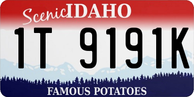 ID license plate 1T9191K