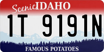 ID license plate 1T9191N