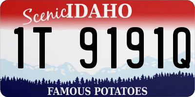 ID license plate 1T9191Q