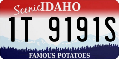 ID license plate 1T9191S
