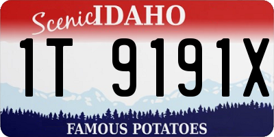 ID license plate 1T9191X