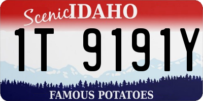 ID license plate 1T9191Y