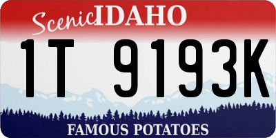 ID license plate 1T9193K