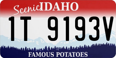 ID license plate 1T9193V