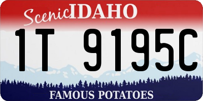 ID license plate 1T9195C