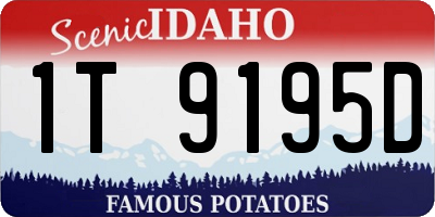 ID license plate 1T9195D