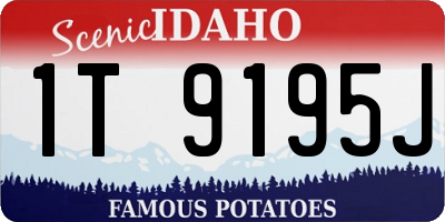 ID license plate 1T9195J