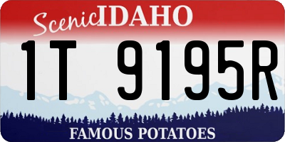 ID license plate 1T9195R