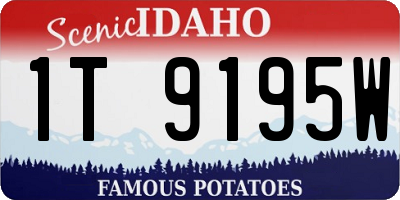 ID license plate 1T9195W