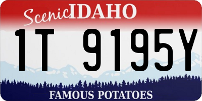ID license plate 1T9195Y