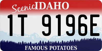 ID license plate 1T9196E
