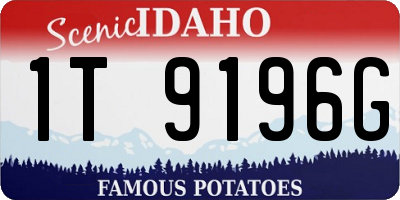 ID license plate 1T9196G