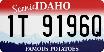 ID license plate 1T9196Q