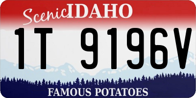 ID license plate 1T9196V