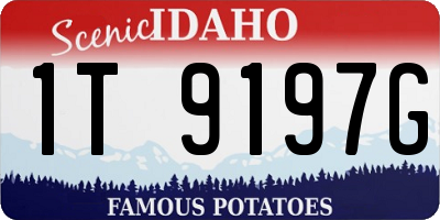 ID license plate 1T9197G
