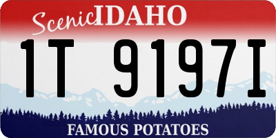 ID license plate 1T9197I