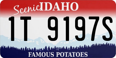 ID license plate 1T9197S