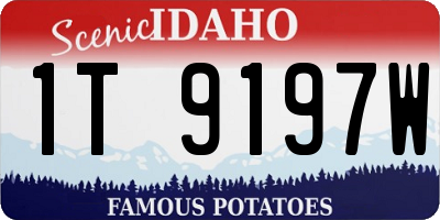 ID license plate 1T9197W