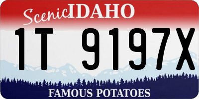 ID license plate 1T9197X