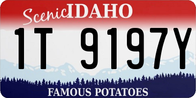 ID license plate 1T9197Y