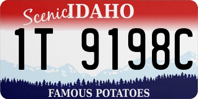 ID license plate 1T9198C
