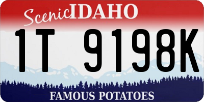 ID license plate 1T9198K