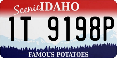 ID license plate 1T9198P