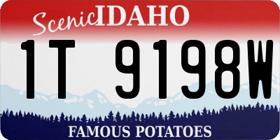 ID license plate 1T9198W