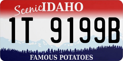 ID license plate 1T9199B