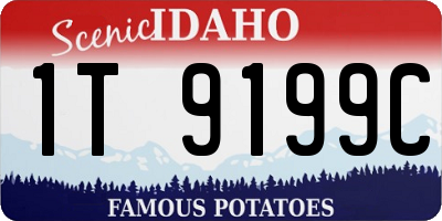 ID license plate 1T9199C