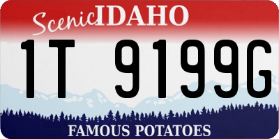 ID license plate 1T9199G